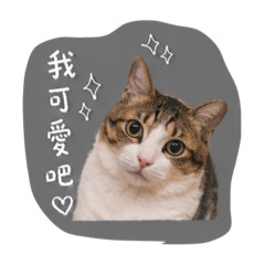QQ阿球