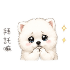 療癒狗狗，狐狸犬糖糖