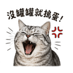 肉包（日常生活版）