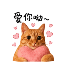 湯圓與貓奴的日常語錄❤️