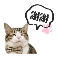 Lala 你好!