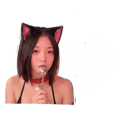 小巴貓