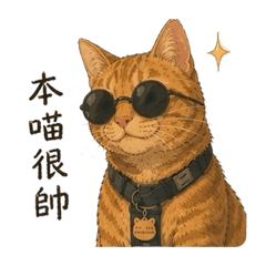 非橘不可
