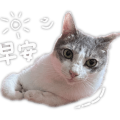 餓魔果實