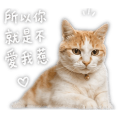 阿古喵喵喵喵
