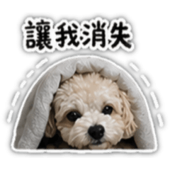 娜比也不想上班