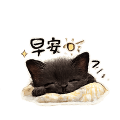 小奶貓阿Q❤️