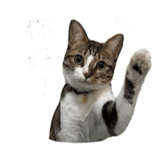 薯條日常趴萬