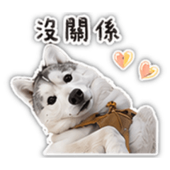 灰妹日常語錄
