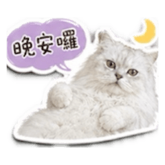66和乖乖生活日常用語
