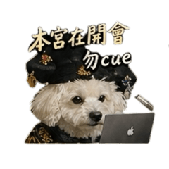 娜比妃來了