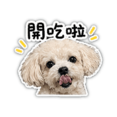 娜比日常語錄