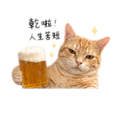 暴走金金