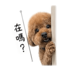Q比的表情包2