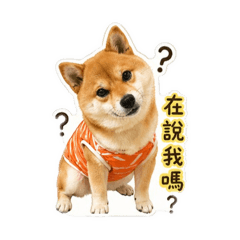 我是小胖妹啦