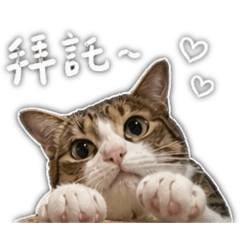 逆子的逆子生活