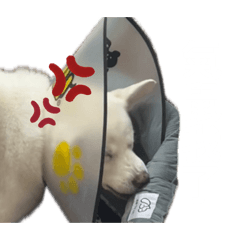 日常集錦