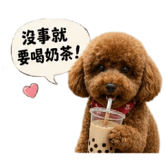 柴道之貴婦人生