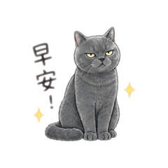 歐咪日常1