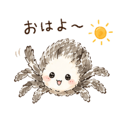 Mofu Spider.