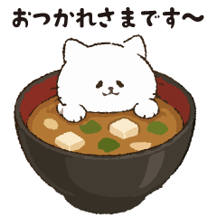 Japanese food cat