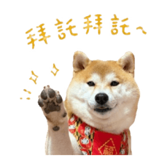肉絲愛吃肉(⁎⁍̴̛ᴗ⁍̴̛⁎)