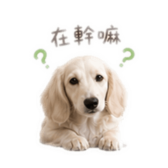 嚕比與皮蛋