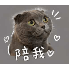 萌萌萌萌爆