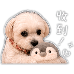 多多可愛貼圖！