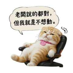 喵道之不想上班