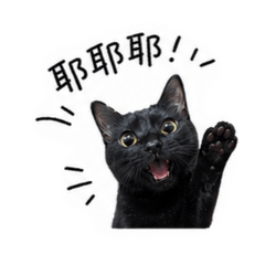 黑Pàng日常