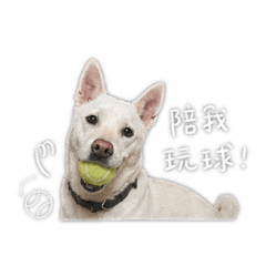 大家好我是米魯