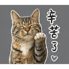 阿堡日常用語