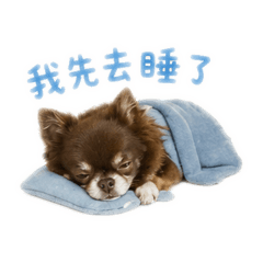 獨一無二的豆豆