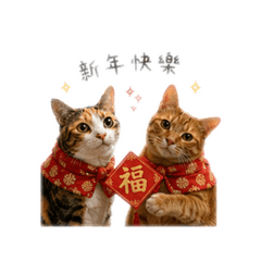 雙寶節慶貼圖
