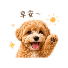 可愛のQ寶