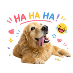 Duffy狗的日常貼圖