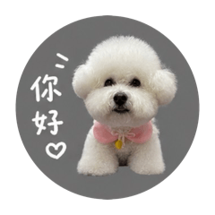 嗨我是熊熊