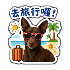 可欣回答你！