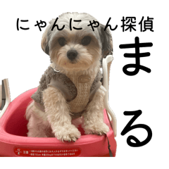 ayaka_20260429093044