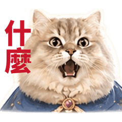 碰氣第二發
