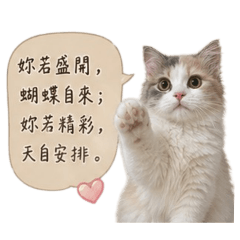 喵道之女王篇
