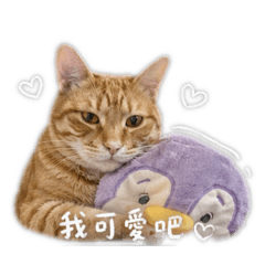 啊～仔仔