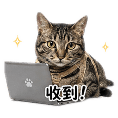 皮皮&噗噗日常工作！