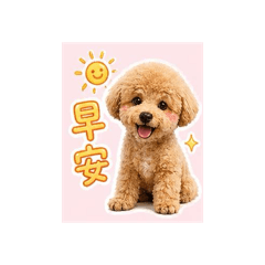 康小Q寶