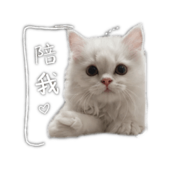 小威力ㄉ自言自語