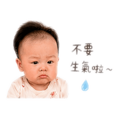 魚蛋寶貝