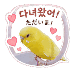 Cute Korean & Japanese Parrot Stickers
