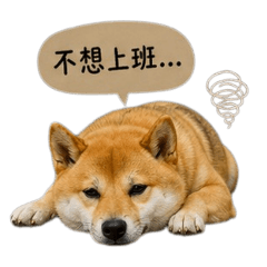 柴道之時間自由