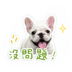 小花ㄓ的生活日常